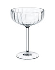 Rose Garden Bubly Drink Set of 4 Pieces