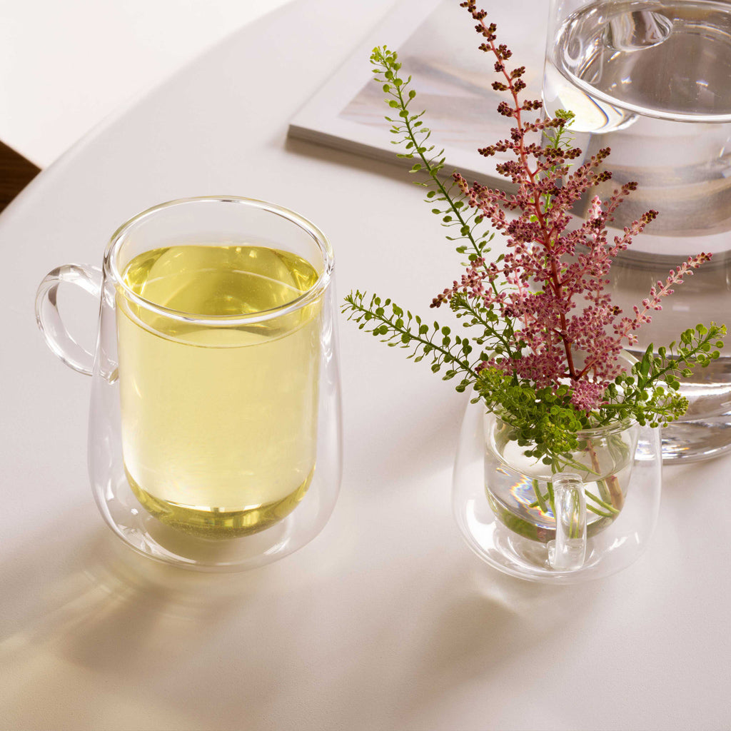 Artesano Hot & Cold Latte Glass with Handle with Handle 250 ml, Set Of 2