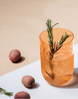 Like Apricot Longdrink Tumbler, Set of 2 Pieces