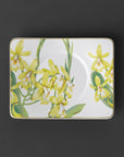 Amazonia Saucer for Tea Cup 17 cm