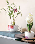 Rose Garden Breakfast Cup 300 ml