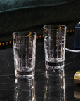 Ardmore Club Highball Tumbler Set2Pcs