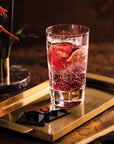 Ardmore Club Highball Tumbler Set2Pcs